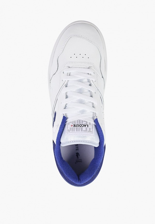 фото Кеды lacoste