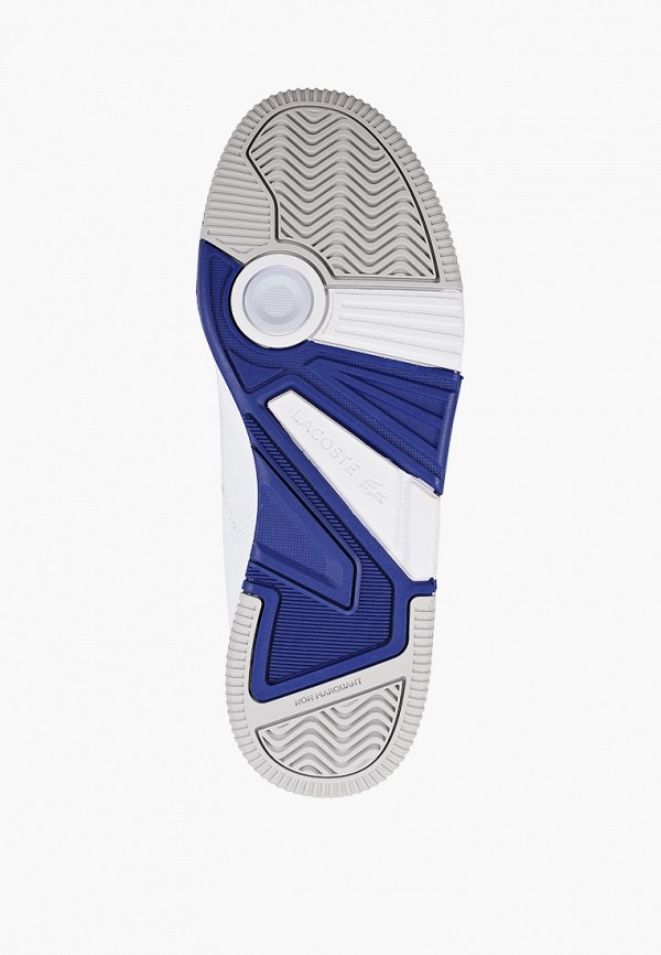 фото Кеды lacoste