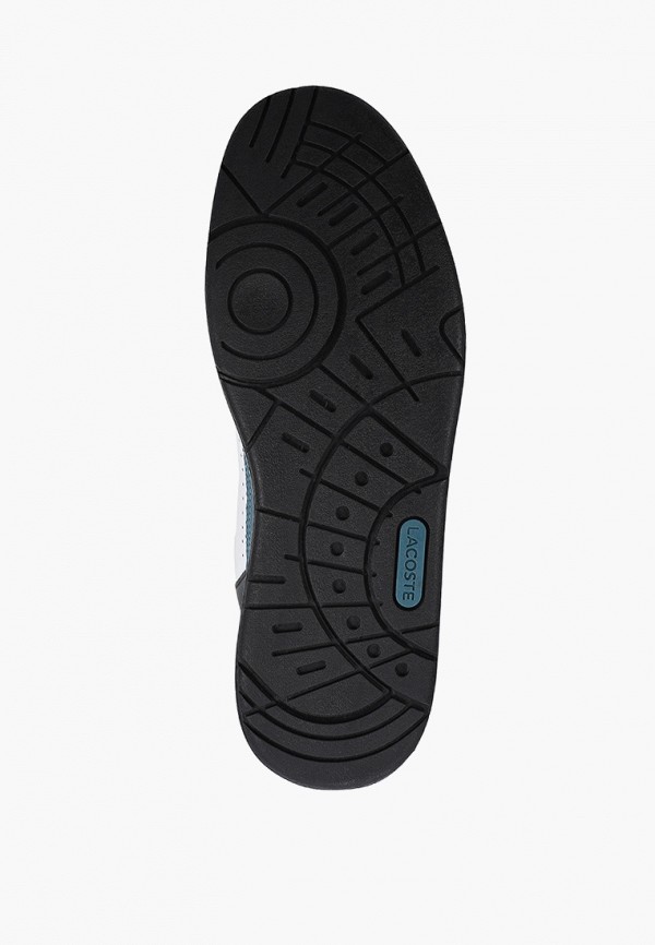 фото Кеды lacoste