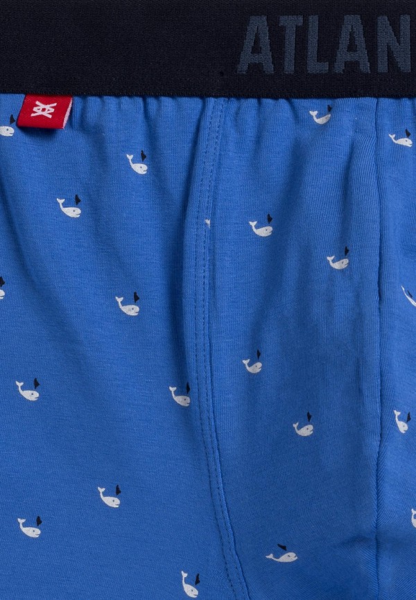 фото Трусы 3 шт. atlantic