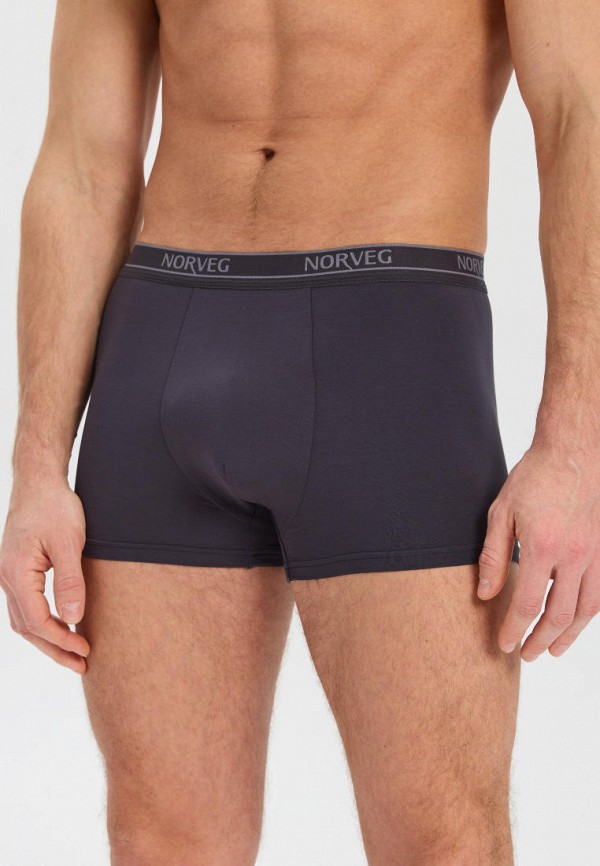 фото Трусы norveg