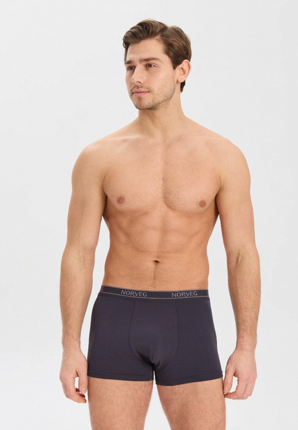 фото Трусы norveg