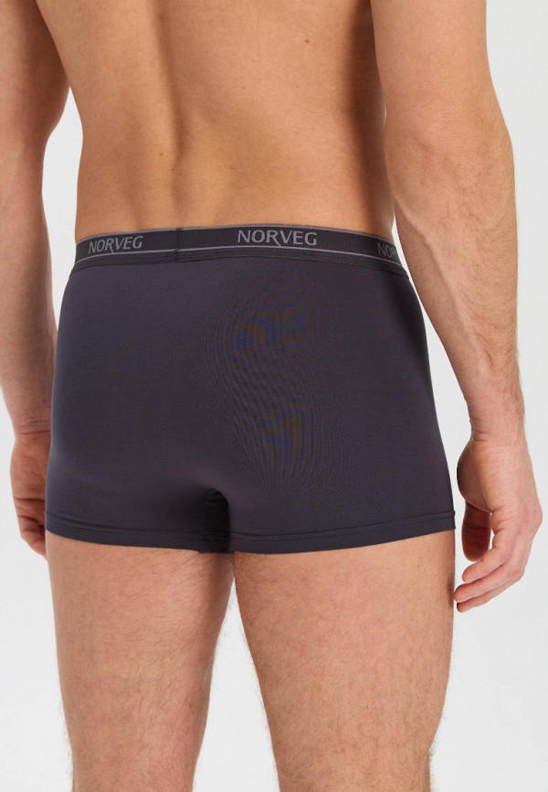 фото Трусы norveg