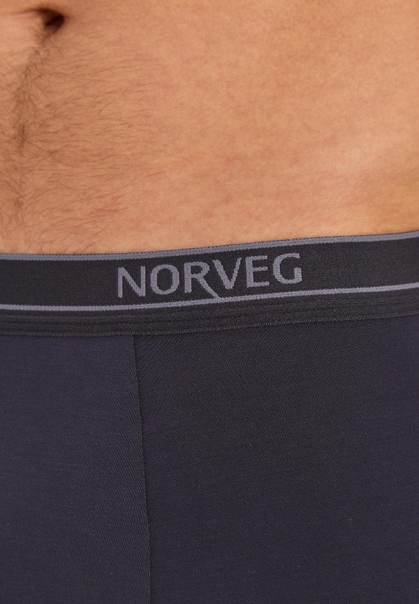 фото Трусы norveg
