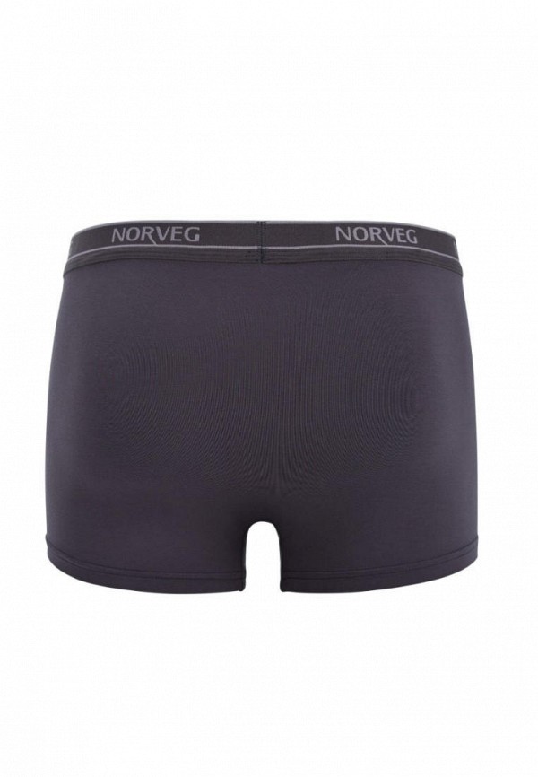 фото Трусы norveg