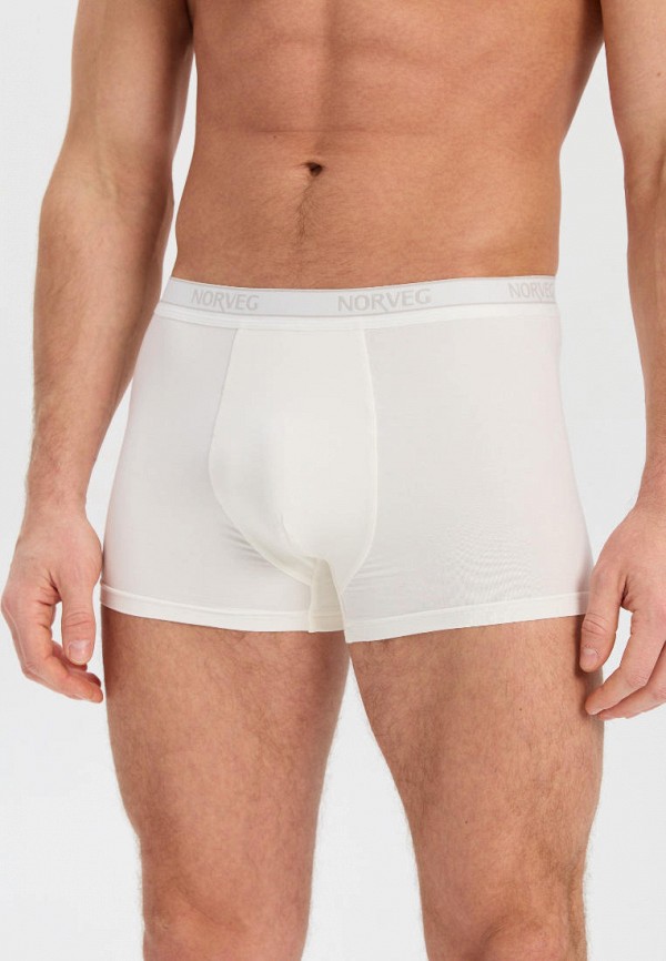 фото Трусы norveg