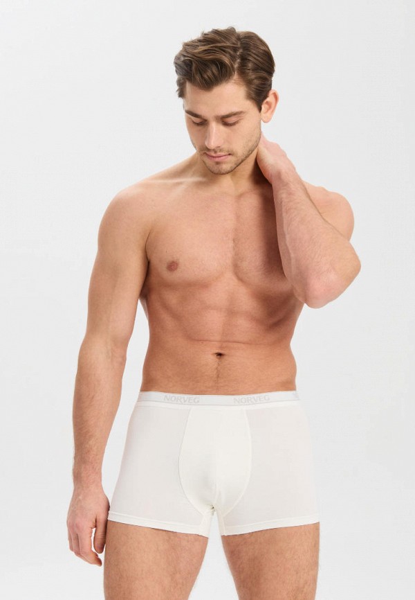 фото Трусы norveg