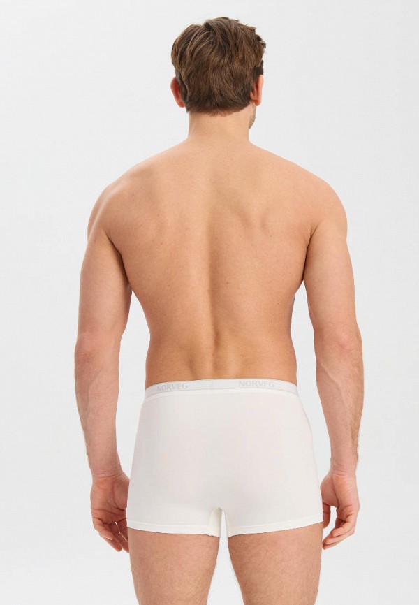 фото Трусы norveg