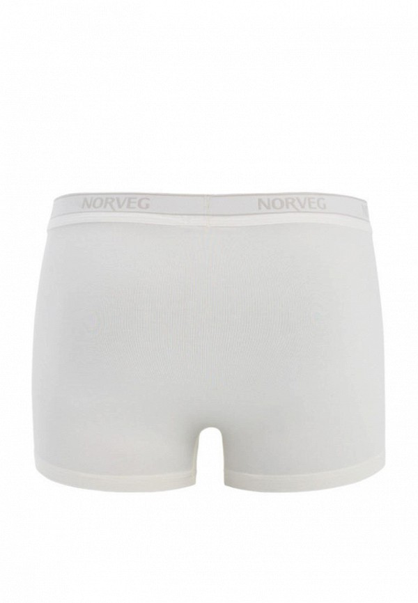 фото Трусы norveg