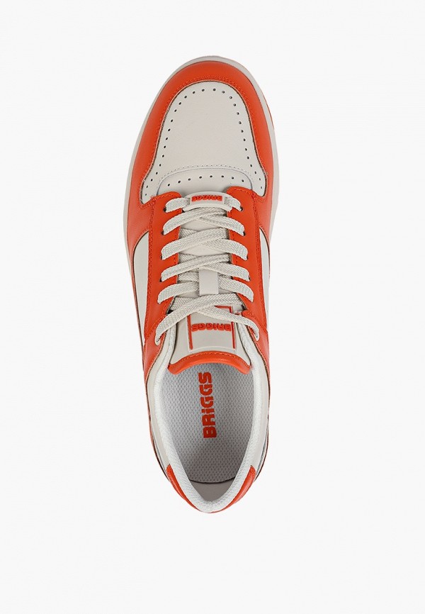 фото Кеды briggs