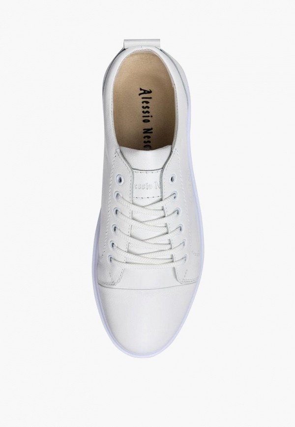 фото Кеды alessio nesca