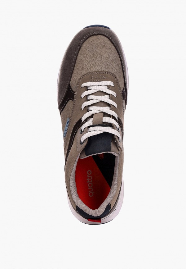 фото Кроссовки quattrocomforto