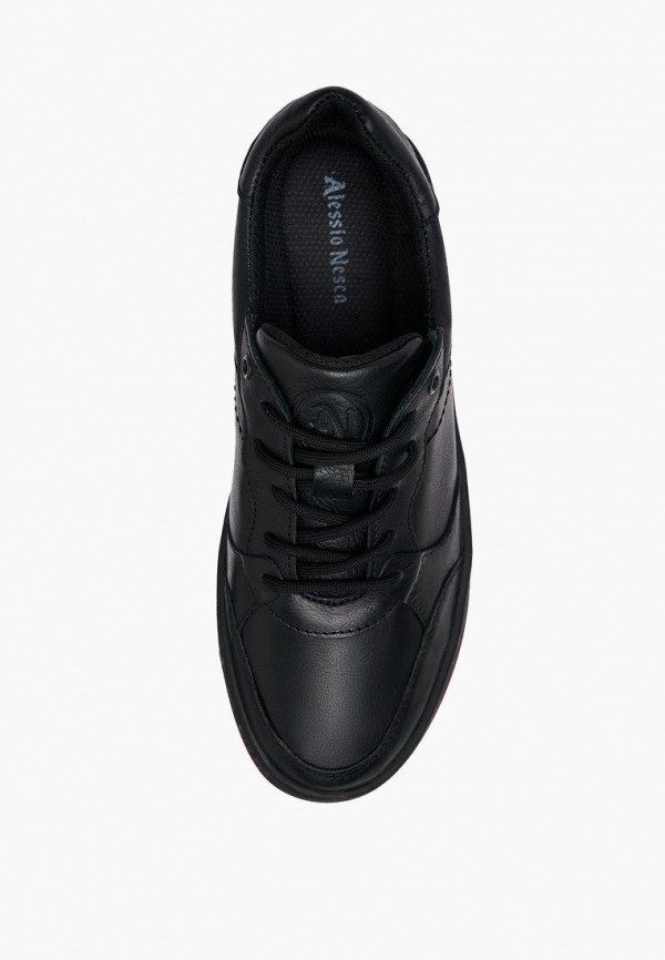 фото Кеды alessio nesca