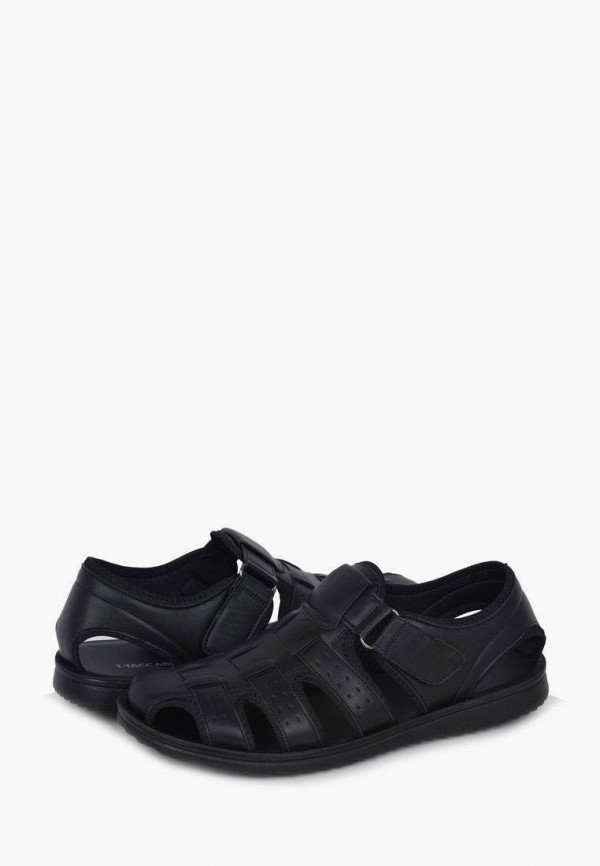 фото Сандалии t.taccardi