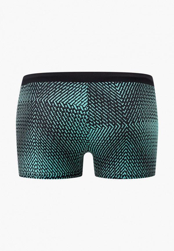 фото Плавки speedo