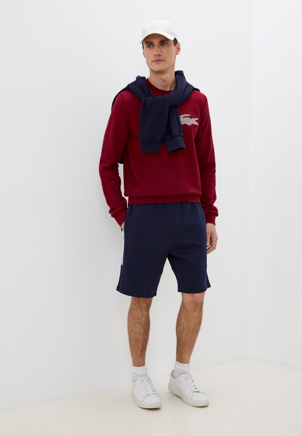 фото Шорты lacoste