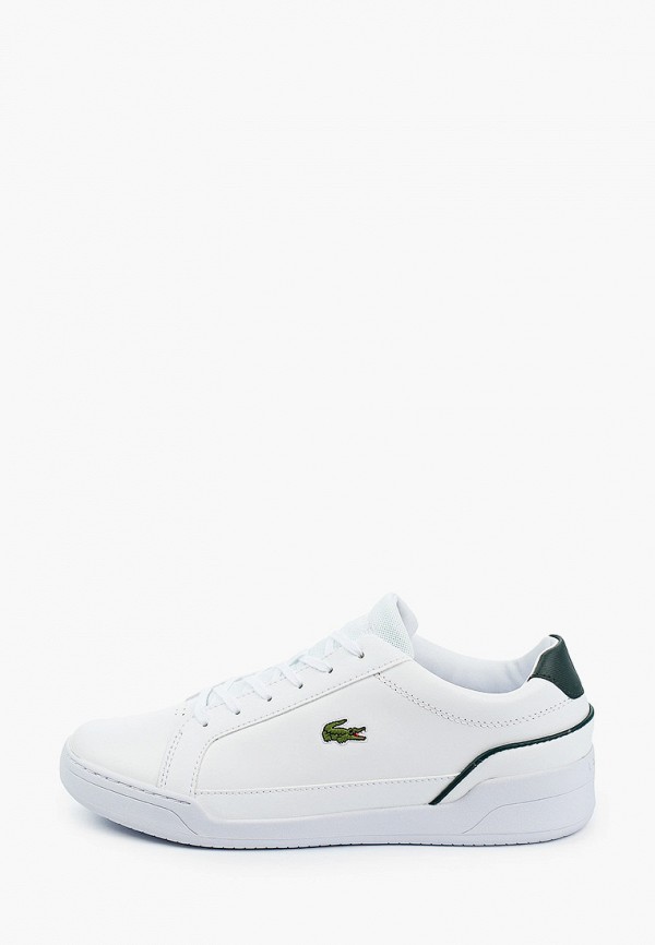 фото Кеды lacoste