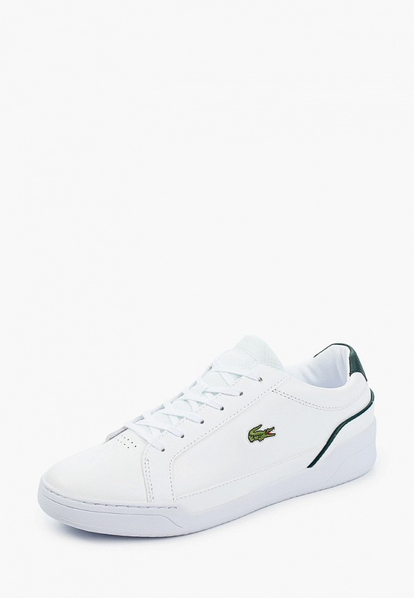 фото Кеды lacoste