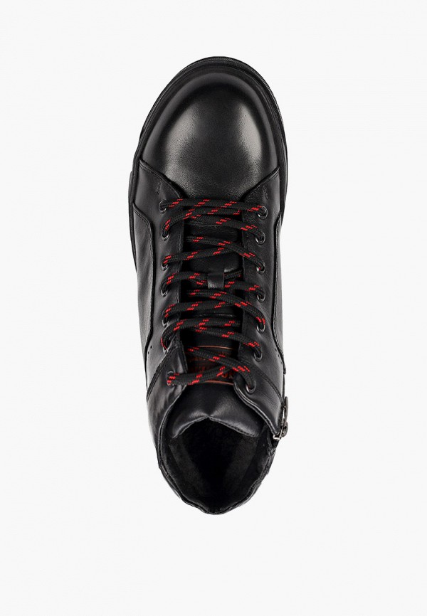 фото Кеды shoiberg