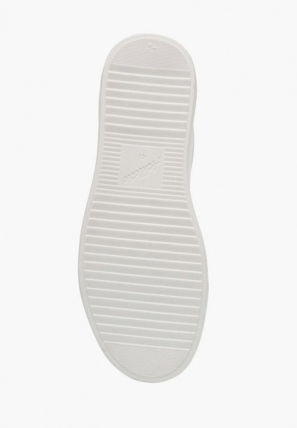 фото Кеды alessio nesca