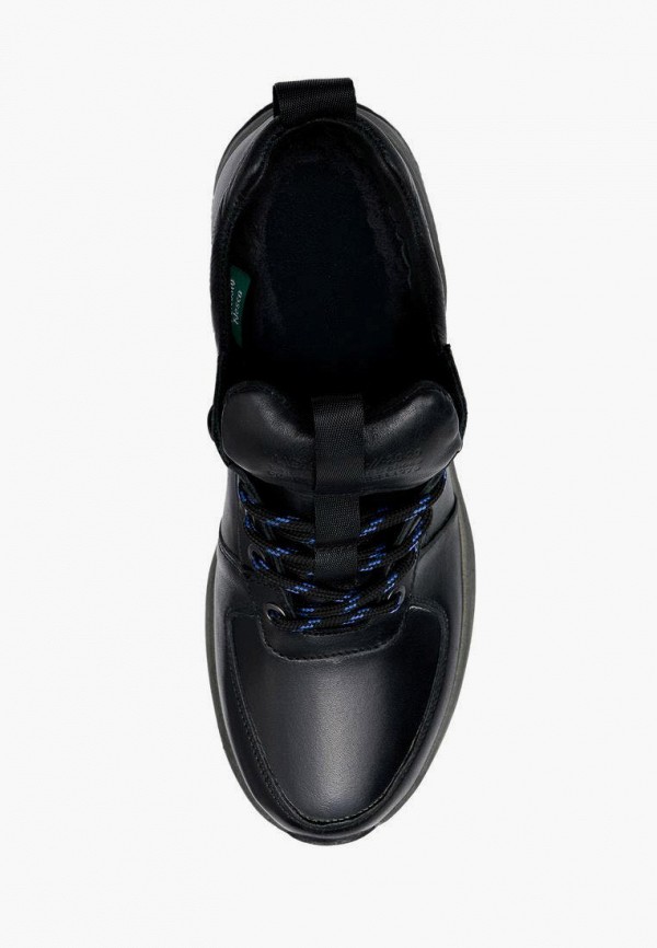 фото Кроссовки alessio nesca