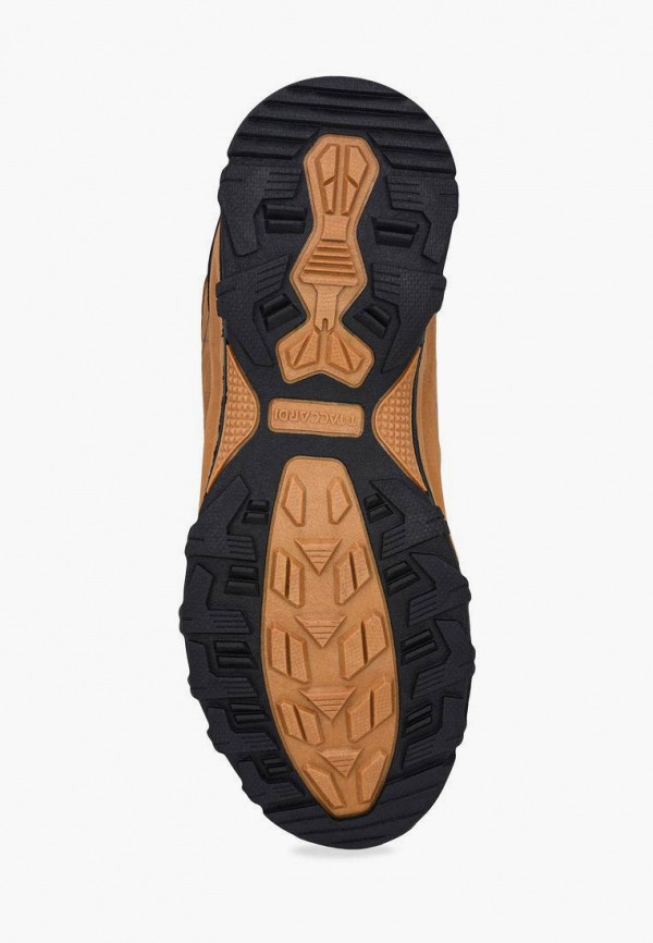 фото Кроссовки t.taccardi