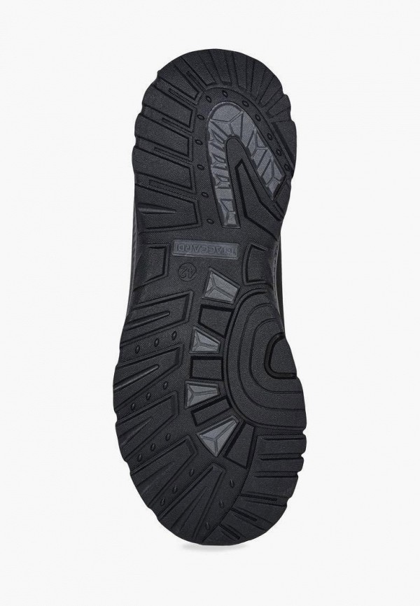 фото Кроссовки t.taccardi