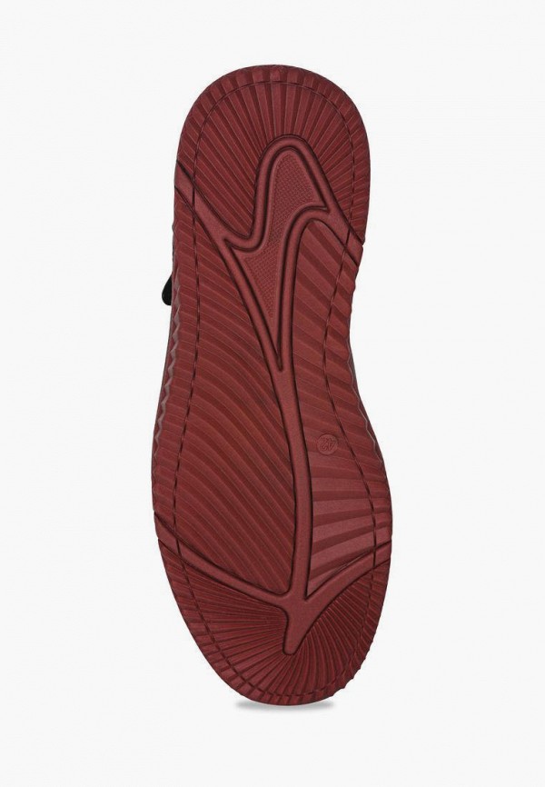 фото Кеды t.taccardi