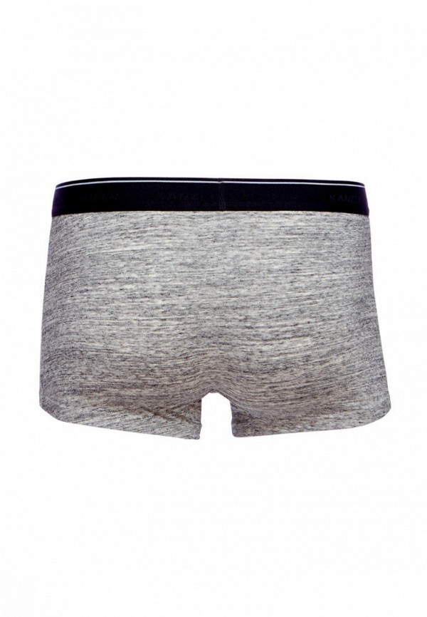 фото Трусы 2 шт. kanzler