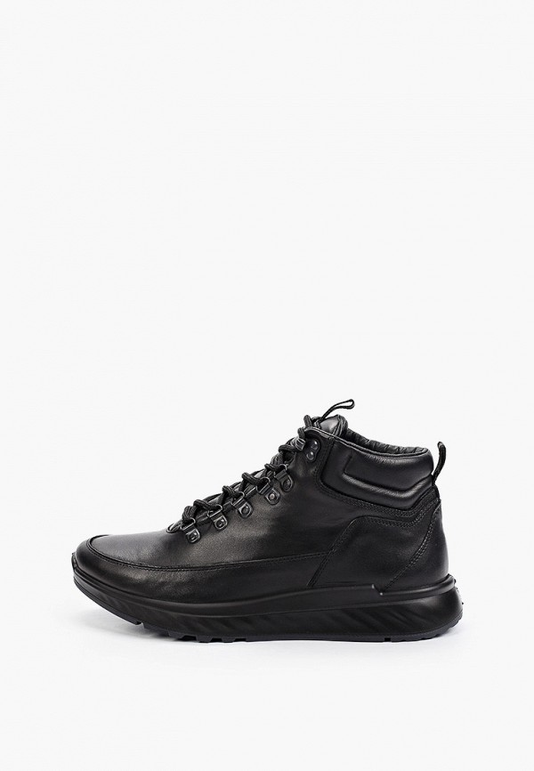 фото Кроссовки valley