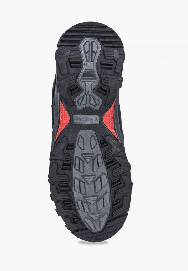 фото Кроссовки t.taccardi