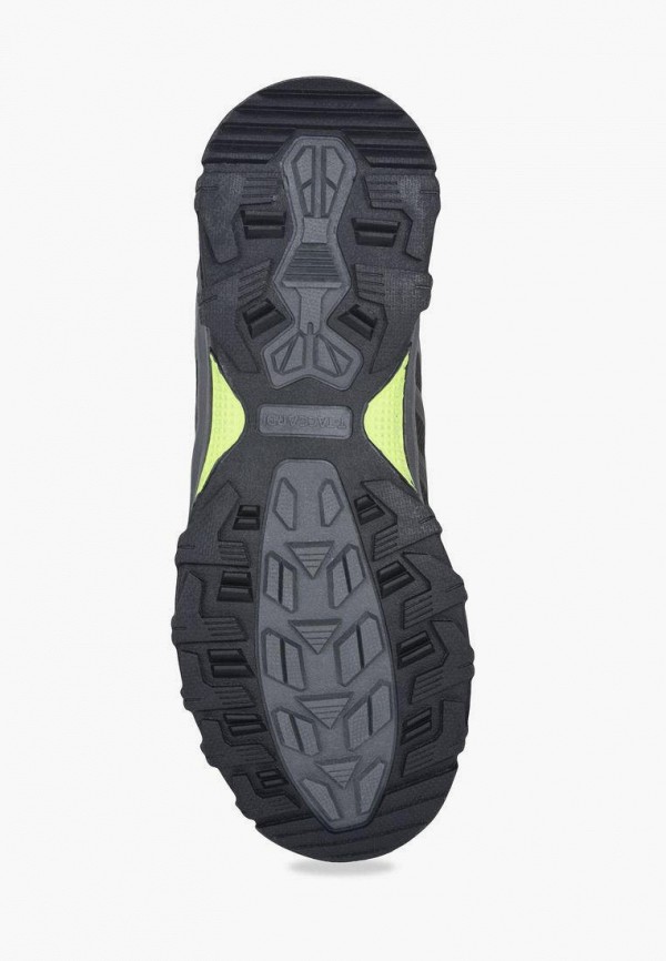 фото Кроссовки t.taccardi