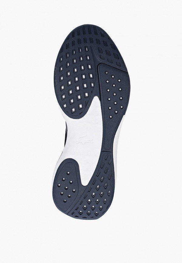 фото Кроссовки lacoste