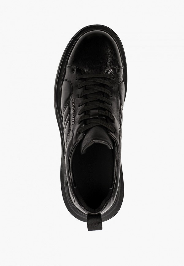 фото Кроссовки basconi