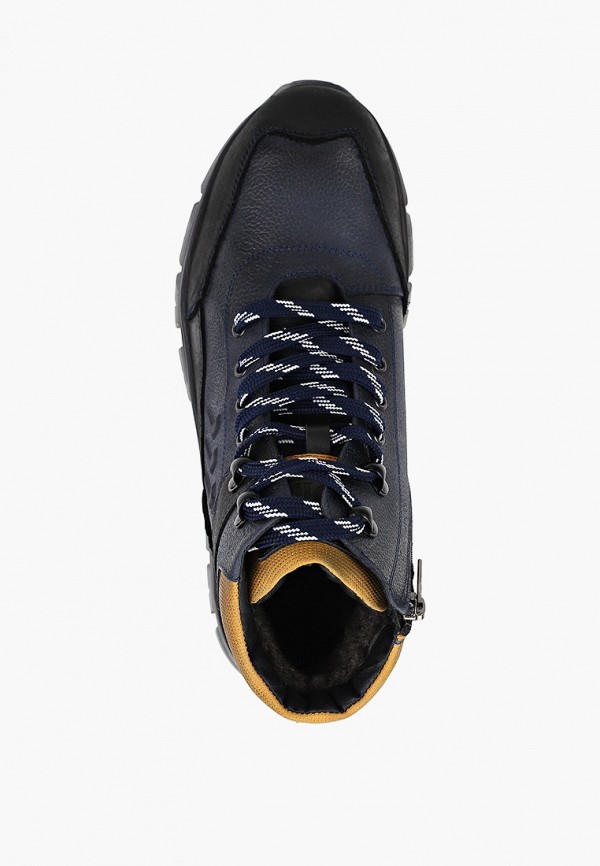 фото Кроссовки shoiberg