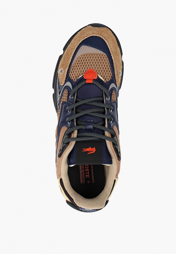 фото Кроссовки lacoste