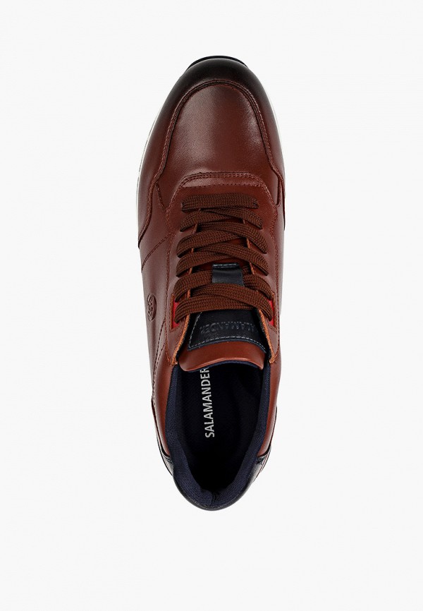 фото Кроссовки salamander