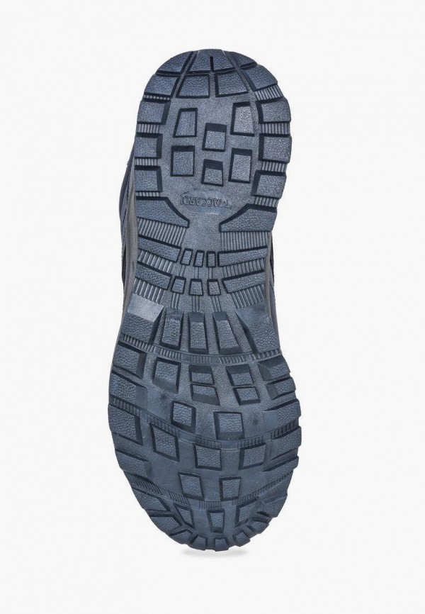 фото Кроссовки t.taccardi