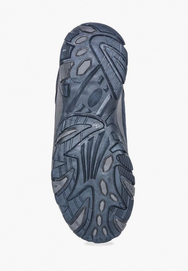 фото Кроссовки t.taccardi