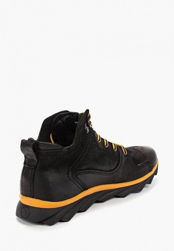 фото Кроссовки alessio nesca