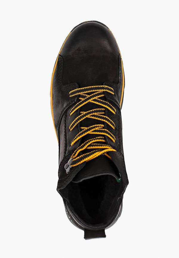 фото Кроссовки alessio nesca