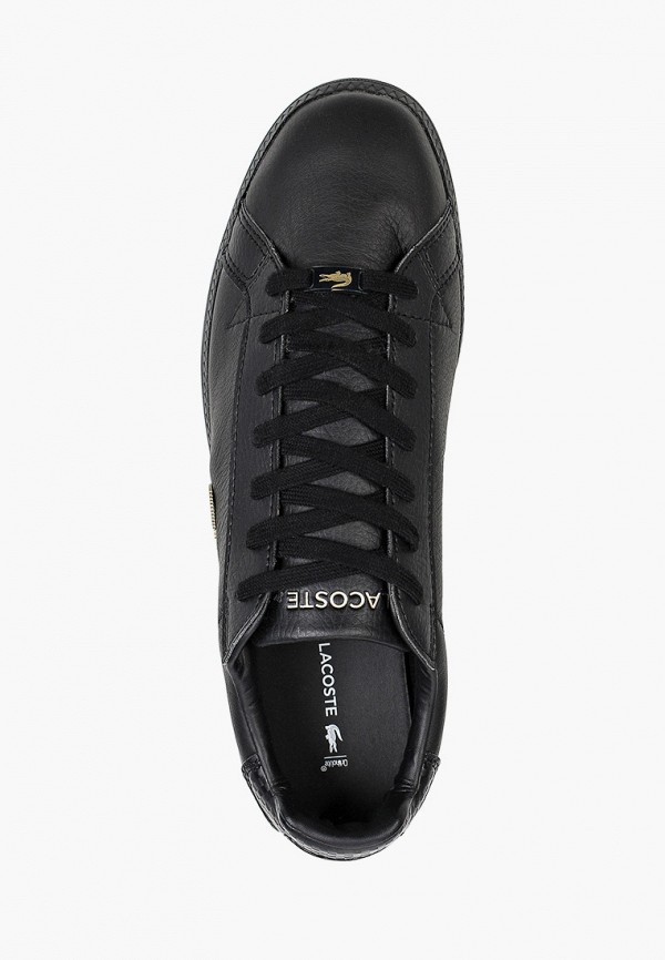 фото Кеды lacoste