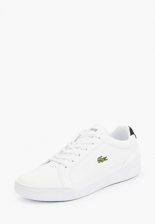 фото Кеды lacoste