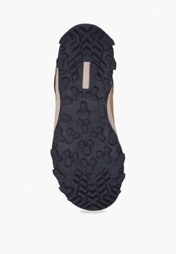 фото Кроссовки t.taccardi