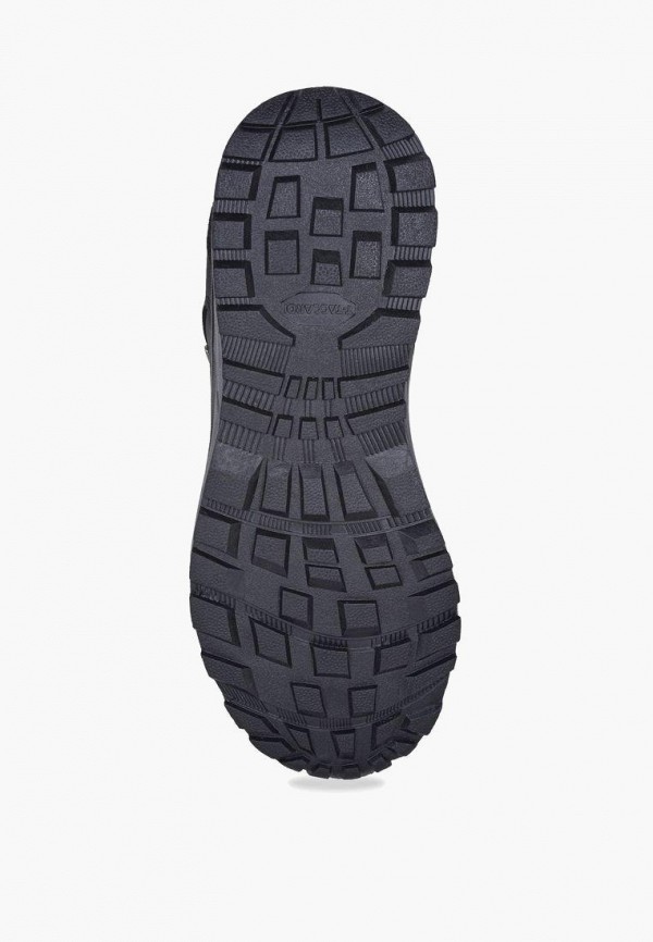 фото Кроссовки t.taccardi