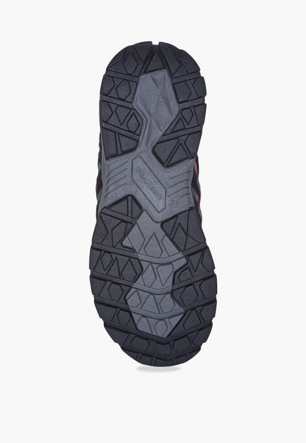 фото Кроссовки t.taccardi