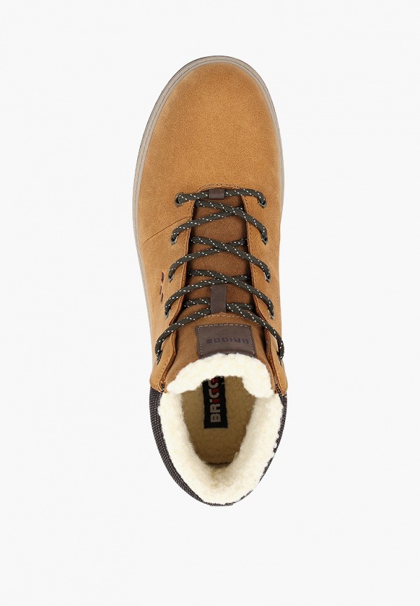 фото Кеды briggs