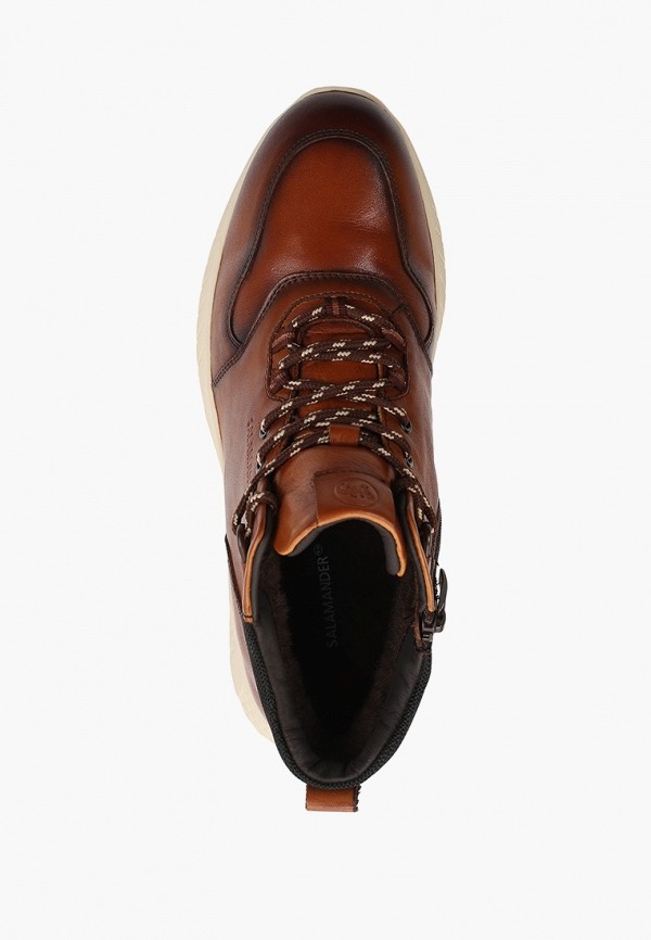 фото Кроссовки salamander