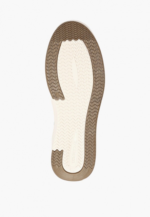 фото Кеды lumberjack