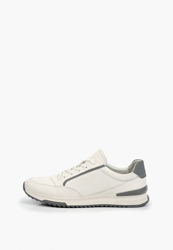 фото Кроссовки basconi